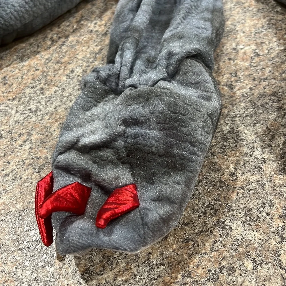 Ministry of Rascal dragon costume size 2T